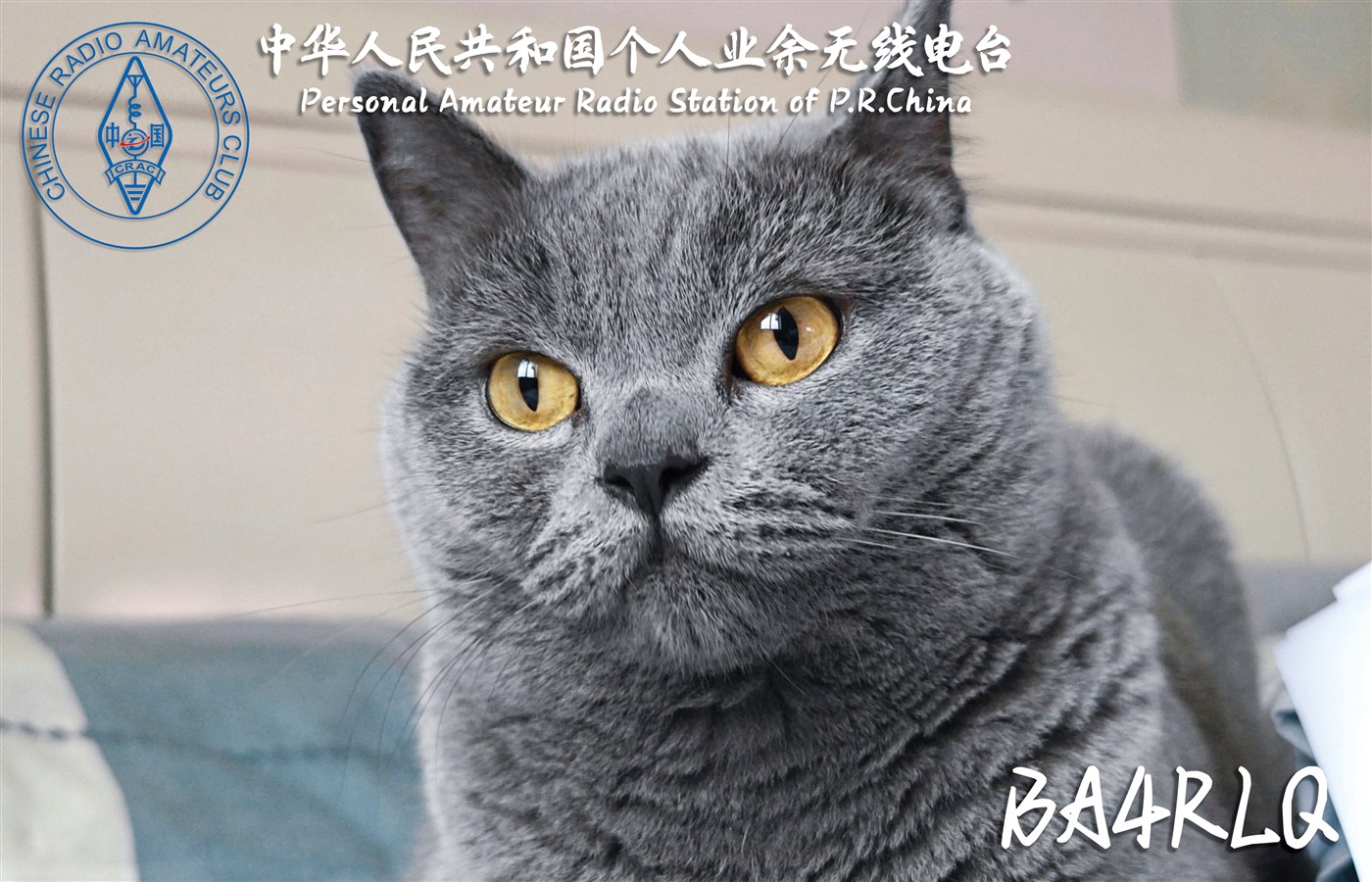 BA4RLQ QSL 卡片 1