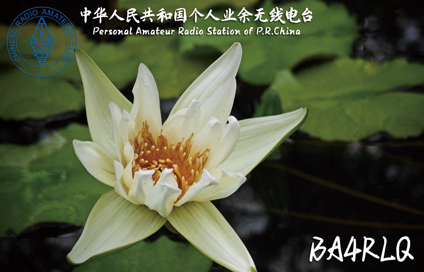 BA4RLQ QSL 卡片 3